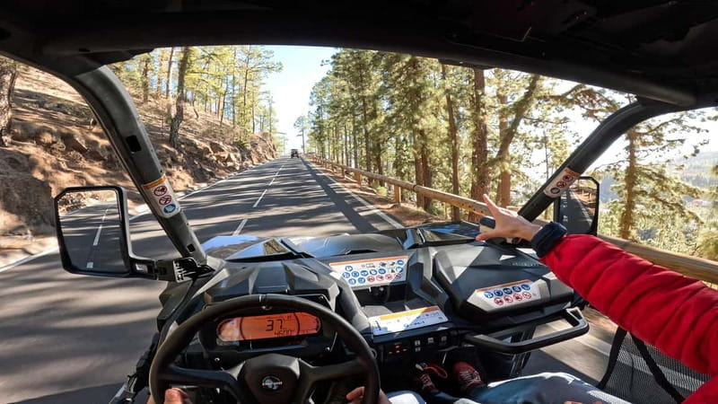 Tenerife: Teide National Park Guided Buggy Tour - From southern Tenerife to the volcanic high country
