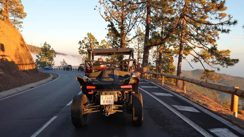 Tenerife: Teide National Park Guided Buggy Tour - Should you book the Teide buggy tour?
