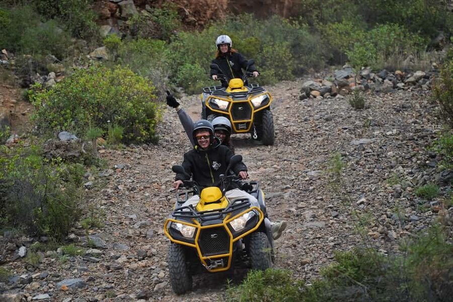 Tenerife: Teide National Park Sunset Quad Tour - The Pino Gordo stop and the change in scenery