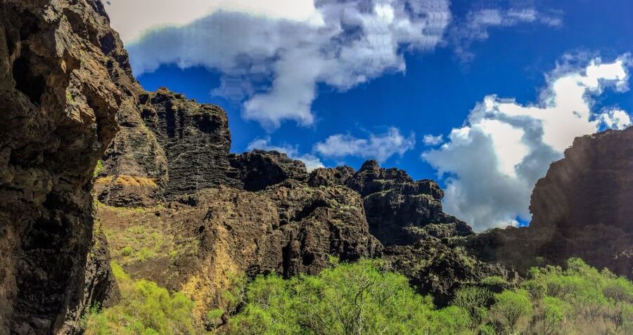 Tenerife: Teide National Park & Teno Rural Park Private Tour - Key details before you book
