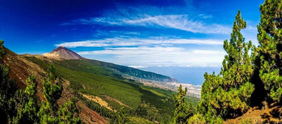 Tenerife: Teide National Park & Teno Rural Park Private Tour - Should you book this Teide and Teno tour?