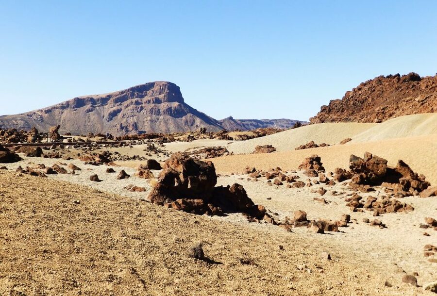 Tenerife: Teide National Park & Teno Rural Park Private Tour - What the sightseeing pace feels like