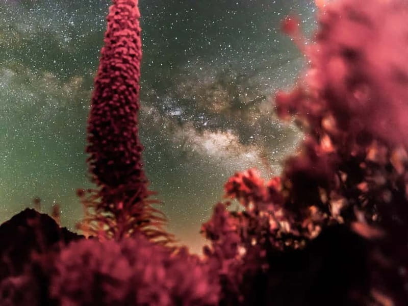 Tenerife: Teide Stargazing with an Astrophysicist - The main drawbacks to plan around