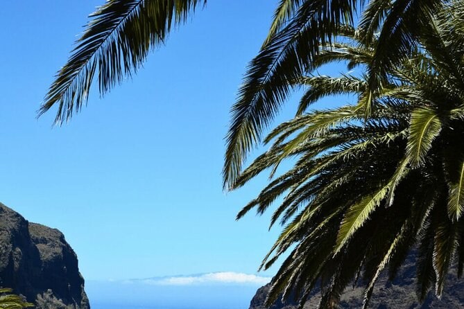 Tenerife Tour Mt. Teide and the Towns of Icod, Garachico, Masca - Price, pickup, and extra seating costs