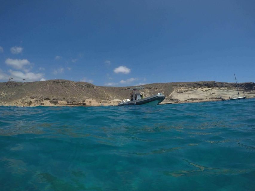Tenerife: Underwater Lava Tongues Snorkel Excursion - Key points to know before booking