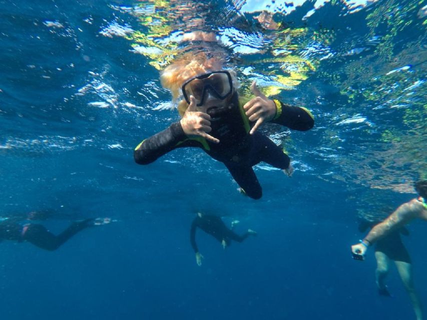 Tenerife: Underwater Lava Tongues Snorkel Excursion - Why Tenerife’s underwater lava tongues matter