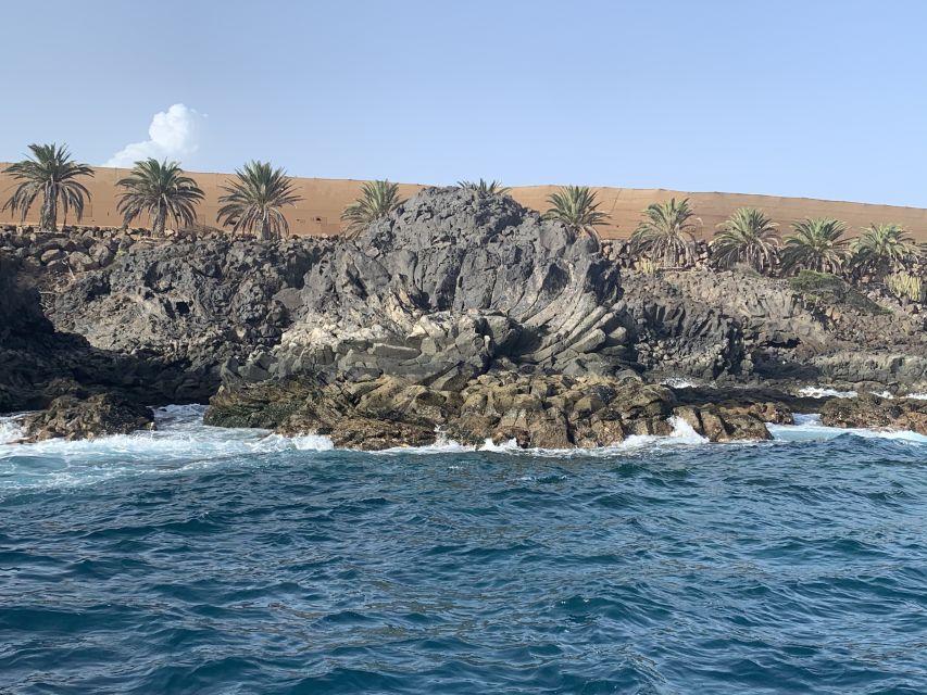 Tenerife: Underwater Lava Tongues Snorkel Excursion - What makes the lava formations special
