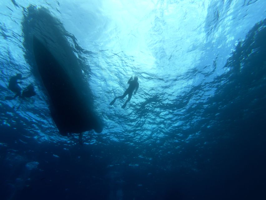 Tenerife: Underwater Lava Tongues Snorkel Excursion - Photos, videos, and the role of the guide