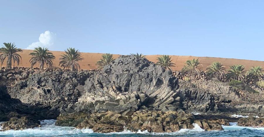 Tenerife: Underwater Lava Tongues Snorkel Excursion - Who will enjoy this excursion most?