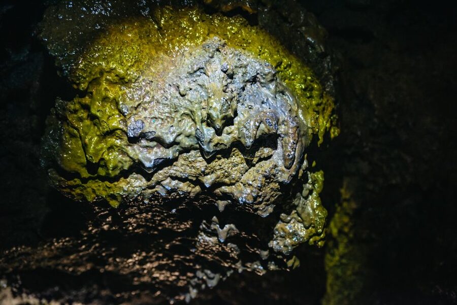 Terceira: Algar do Carvão Lava Caves Tour - The guides are the strongest part of the experience