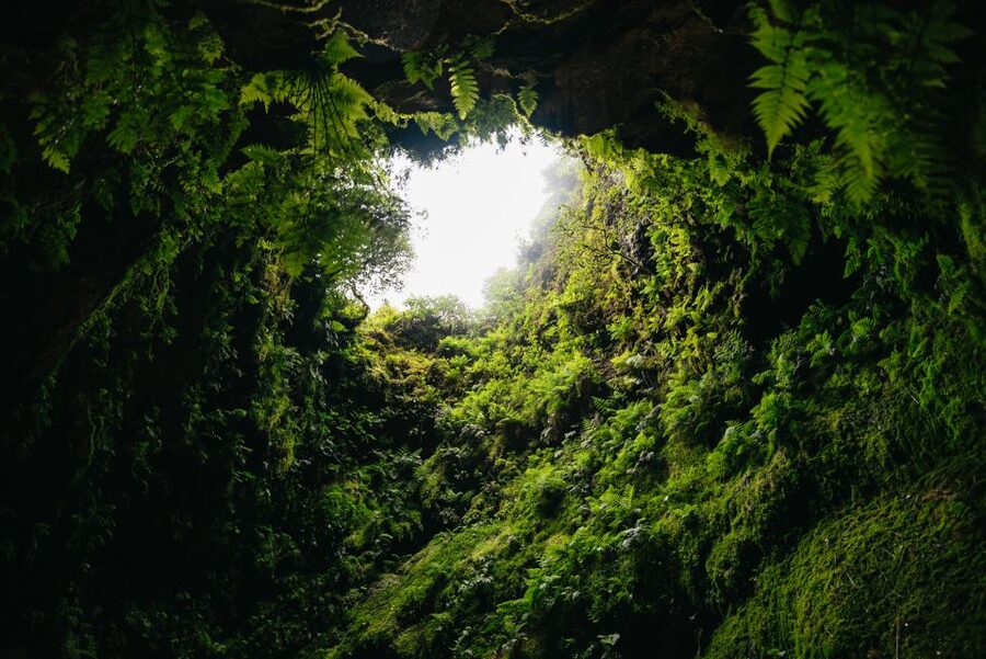 Terceira: Algar do Carvão Lava Caves Tour - Price, extra fees, and what you are really buying