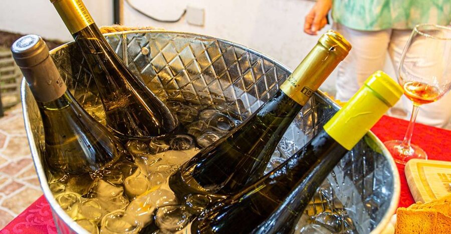 Terceira: Volcanic Wine Tasting Tour with Tapas - A family garden with wine and homemade tapas