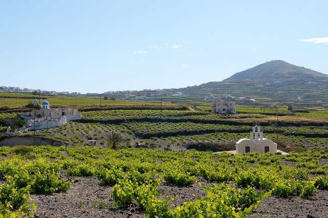 Terroir Santorini – Volcanic Heritage & Wine Experience - Akrotiri: the island’s buried city