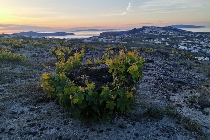 Terroir Santorini – Volcanic Heritage & Wine Experience - Prophet Elias and Pyrgos above the island
