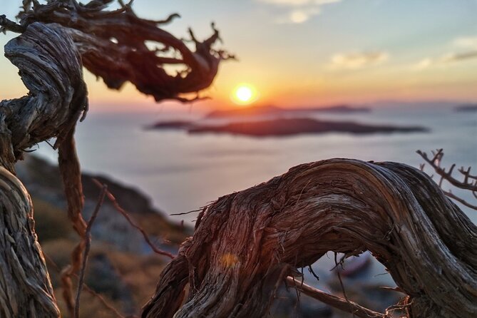 Terroir Santorini – Volcanic Heritage & Wine Experience - Oia: a grand finish with a practical catch