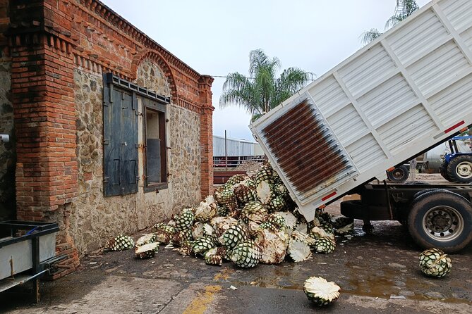 The Fire TOUR - Pyramids, Volcanoes, Agaves & Tequila - The guide can shape the whole day