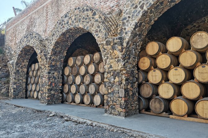 The Fire TOUR - Pyramids, Volcanoes, Agaves & Tequila - Who should book the Fire Tour?