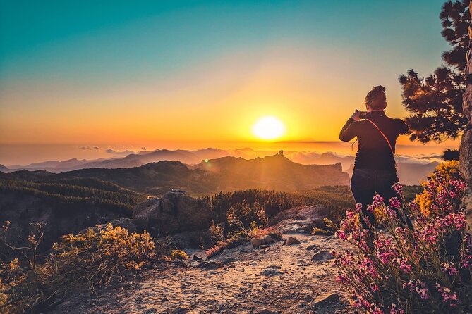 The Volcano Heart Tour: Hiking, Tasting and Sunset Experience - Transport is convenient, but expect a very long day
