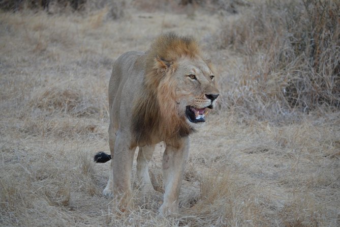 Three Days Ngorongoro crater, Lake Manyara and Taragire National Park (Joining) - Key points to know before booking