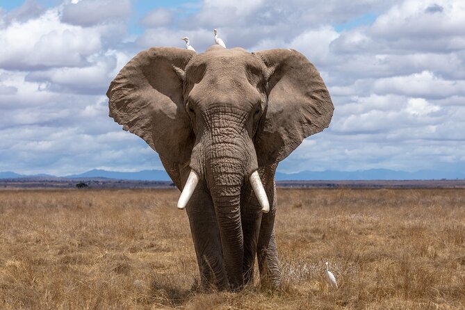 Three Days Ngorongoro crater, Lake Manyara and Taragire National Park (Joining) - A half-day inside Ngorongoro Crater