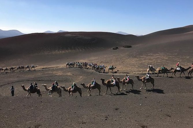 Timanfaya & Lanzarote Volcano Experience - Why Timanfaya belongs on your Lanzarote list