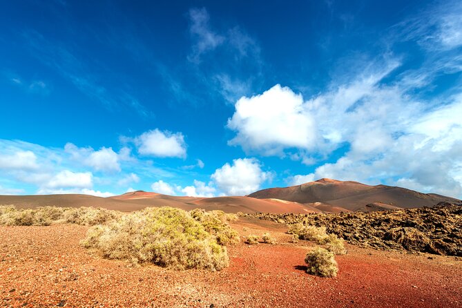 Timanfaya & Lanzarote Volcano Experience - El Golfo and the green lagoon