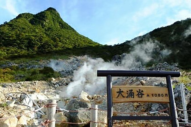 Tokyo: Hakone Fuji Day Tour w/ Cruise, Cable Car, Volcano - Gotemba Premium Outlets and the Fuji view