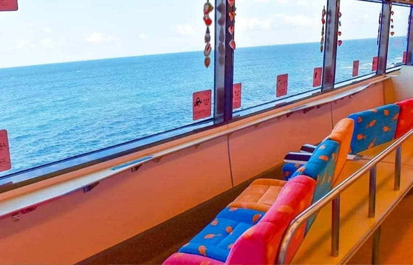 Tokyo: Izu Scenic Oceanview Train, Volcano, Coast Day Trip - Why this Izu day trip is worth considering