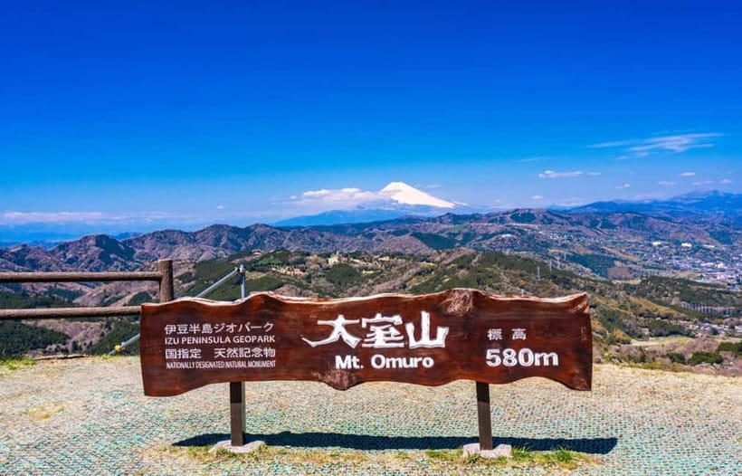 Tokyo: Izu Scenic Oceanview Train, Volcano, Coast Day Trip - Animals and cacti at Izu Cactus & Animal Park