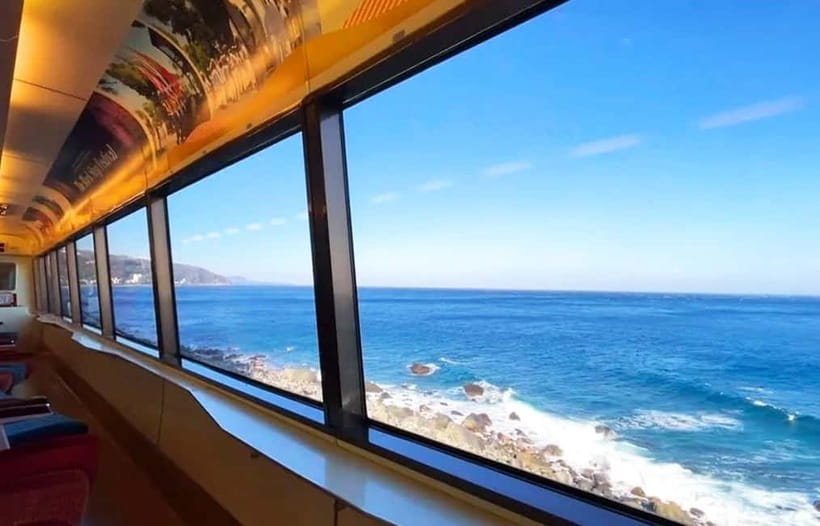 Tokyo: Izu Scenic Oceanview Train, Volcano, Coast Day Trip - Leaving Shinjuku before 7:00 AM