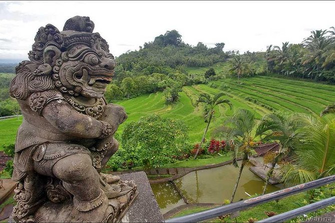 Tour: Besakih Temple-Kintamani Volcano-Water temple&Rice Terrace - Who should book this tour?