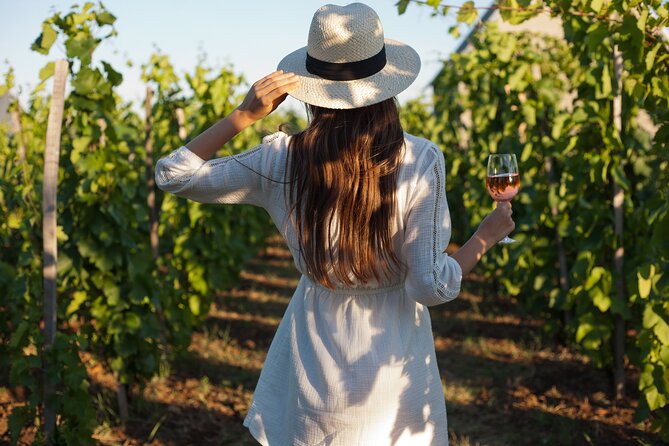 Tour Etna & Wine Tasting - What makes this Etna day special