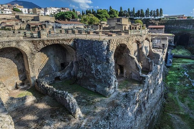 Tour of Mt. Vesuvius+Pompeii+Herculaneum (Full Day) - Starting high above Naples at Mount Vesuvius