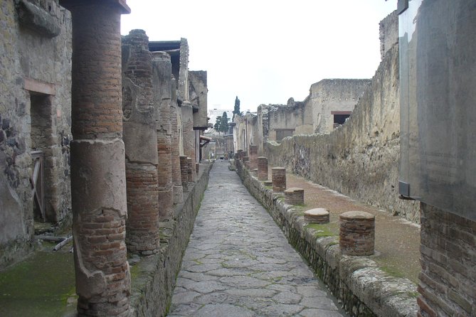 Tour of Mt. Vesuvius+Pompeii+Herculaneum (Full Day) - Price, extra fees, and who gets good value
