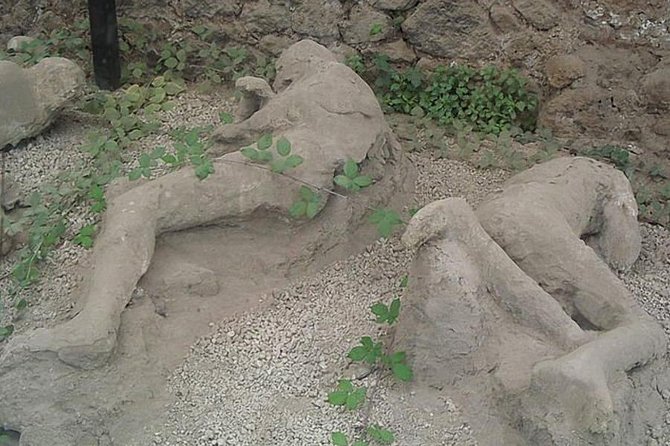 Tour of Mt. Vesuvius+Sorrento+Pompeii (Full Day) - Who will get the most from this tour