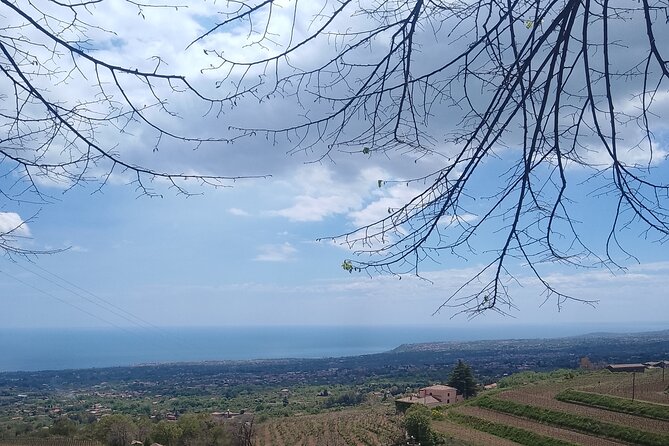 Tour two wineries of Etna wine tasting and lunch - Practical details that affect your day