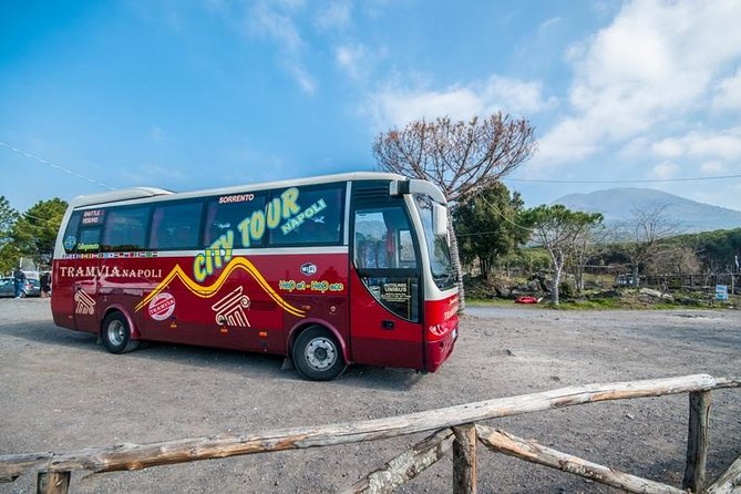 Tramvia Napoli: Transfer to Herculaneum Ruins + Vesuvius - Key points at a glance