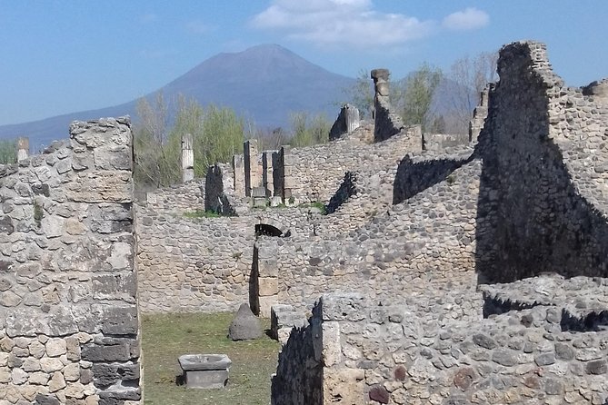 Transfer from Naples to Sorrento with a stop at Pompeii and Mt Vesuvius(1-8 PAX) - Who will get the most from this transfer