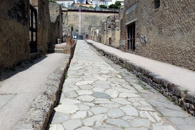 Transfer from Naples to Sorrento with stop at Pompeii &MtVesuvius - Tickets, communication, and small details that matter
