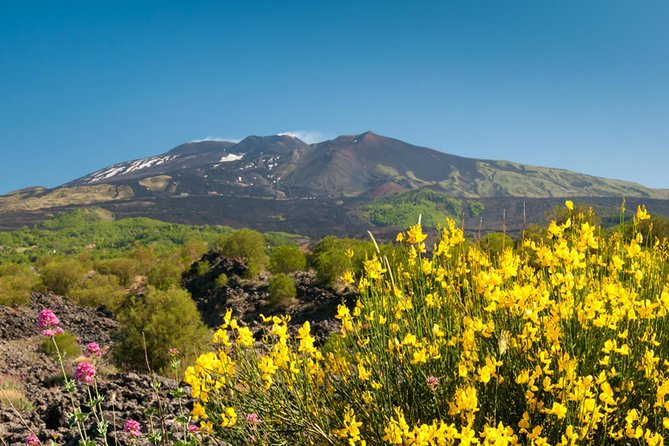 Trekking in the morning on Mount Etna - Winter changes at higher altitude