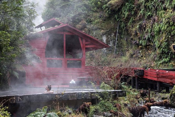 Trekking Mirador el volcano + Geometric hot springs - Three Hours Through Native Forest and Araucaria Trees