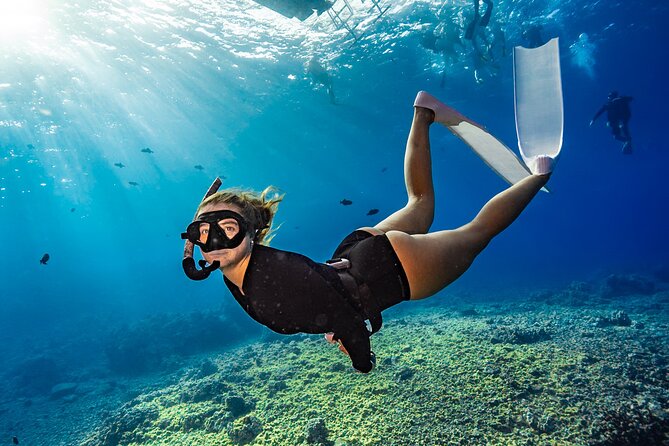 Two Site Snorkeling Adventure featuring the Molokini Crater - Key details before you book