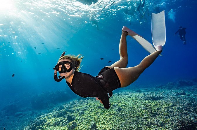 Two Site Snorkeling Adventure featuring the Molokini Crater - Is $174 a fair price?