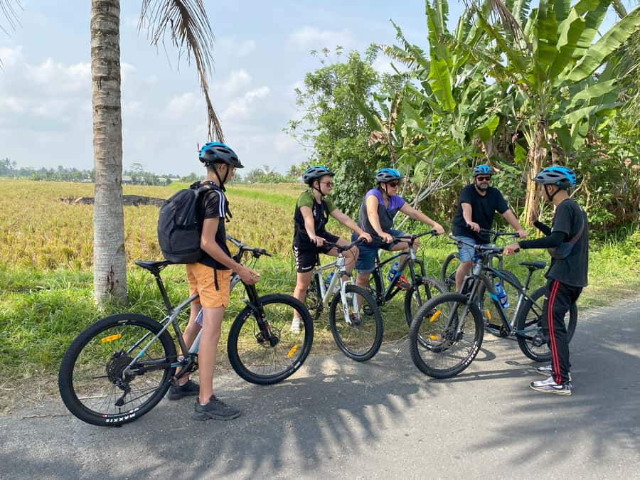 Ubud: Downhill Bike Tour with Rice Fields, Volcano and Meal - Key points before you book