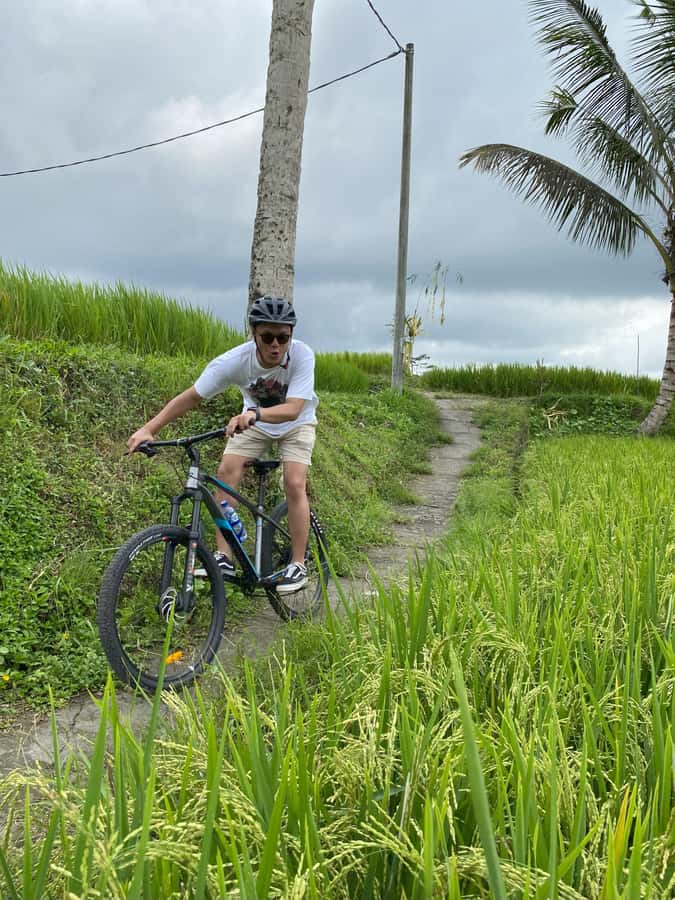 Ubud: Downhill Bike Tour with Rice Fields, Volcano and Meal - A downhill route through villages and rice fields