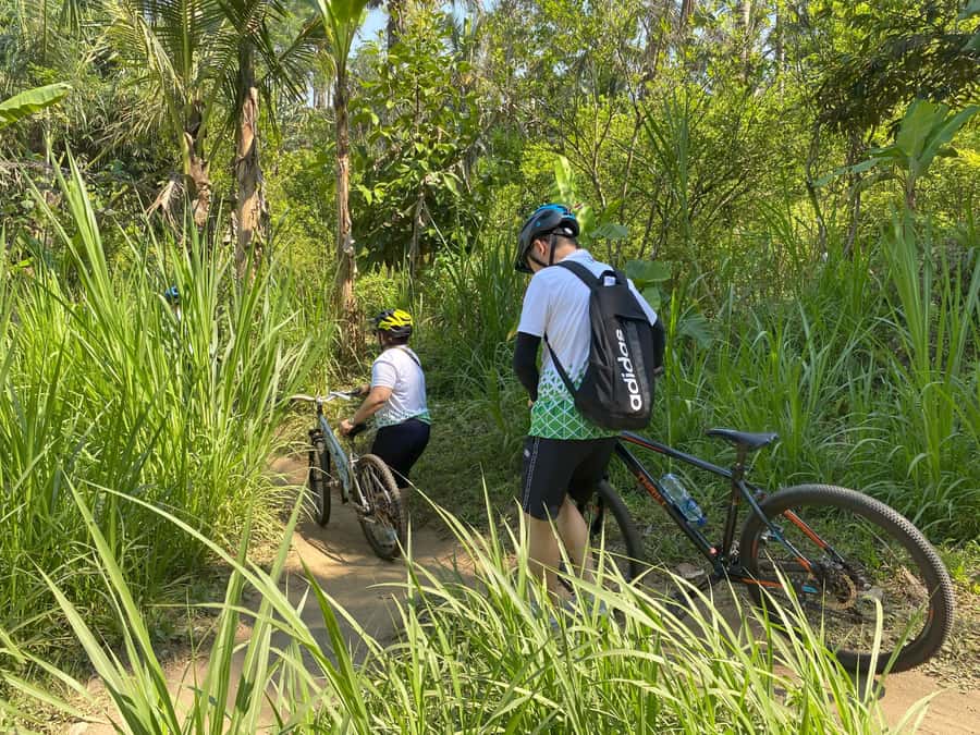 Ubud: Downhill Bike Tour with Rice Fields, Volcano and Meal - Rain, road conditions, and what to expect physically