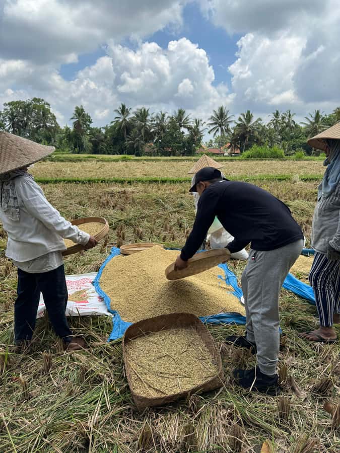 Ubud: Downhill Cycling with Volcano, Rice Terraces, and Meal - A few drawbacks to keep in mind