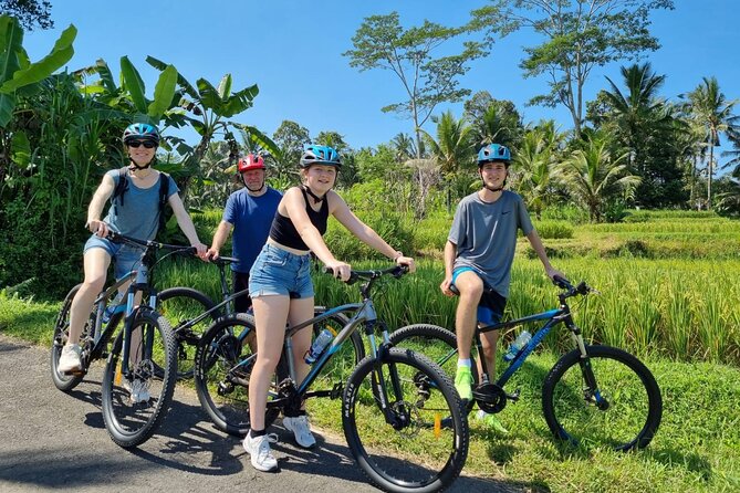Ubud: Downhill Cycling with Volcano, Rice Terraces, and Meal - Riding through villages, farms, and rice fields