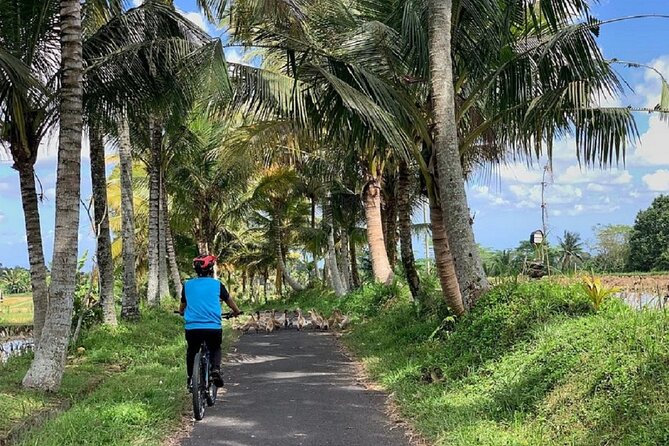 Ubud: Downhill Cycling with Volcano, Rice Terraces, and Meal - The local school and everyday Bali