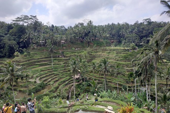 Ubud, Kintamani Volcanos Bali tour - Why this long Bali day makes sense